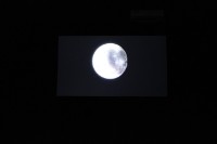 藏品(三戰－畫面一)的圖片